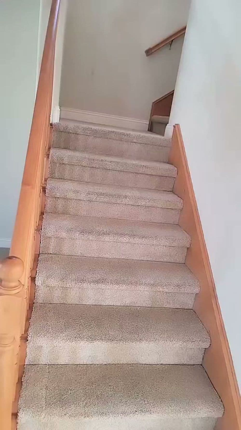 Contact form background